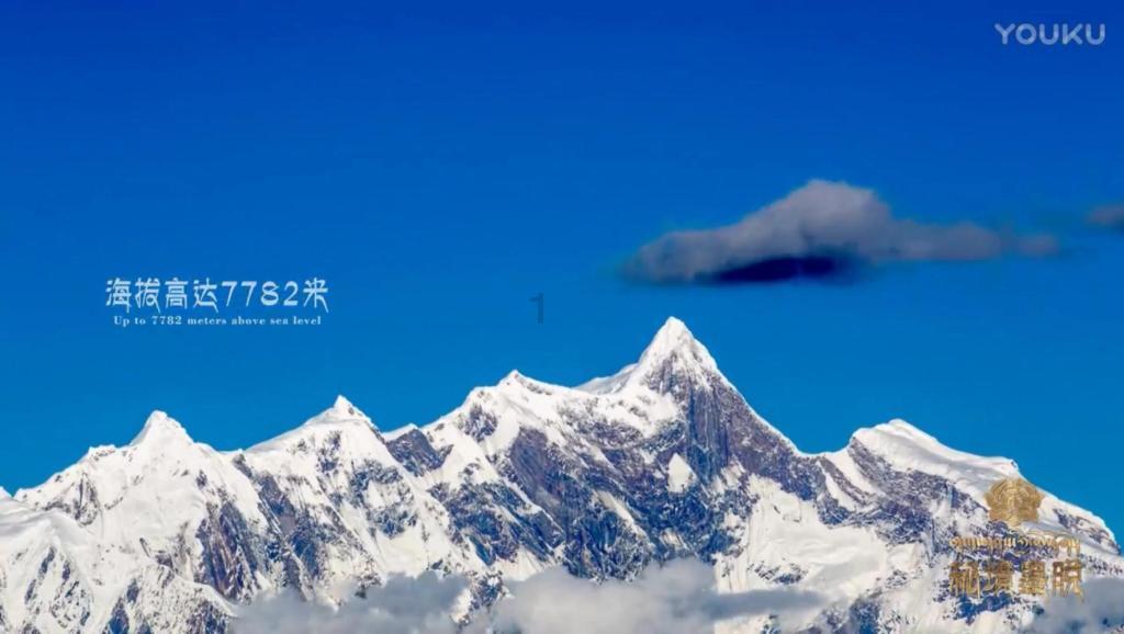 妙鸭相机app下载官网