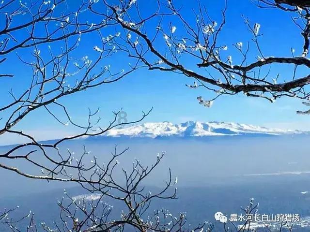 星界边境