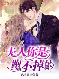 央视《美美与共》,苏运莹与中厄两国乐团共同演绎《竹石》
